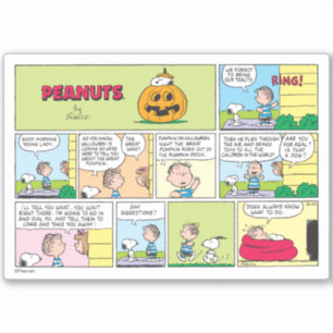 Snoopy & Linus   The Great Pumpkin News