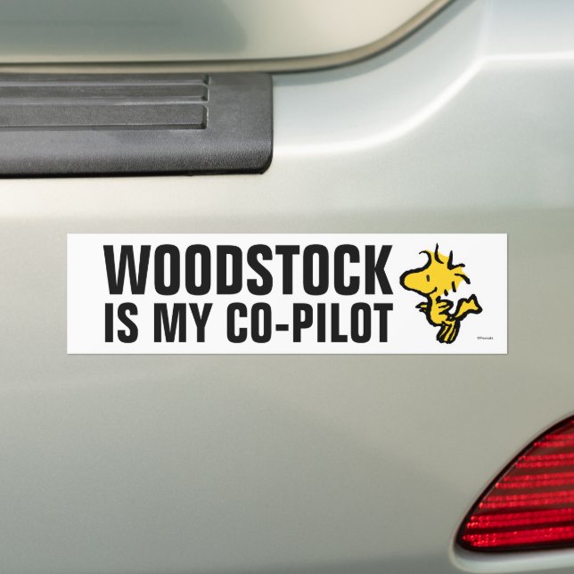 Snoopy & Woodstock Fun & Flowers Bumper Sticker (On Car)