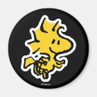 Snoopy & Woodstock Fun & Flowers