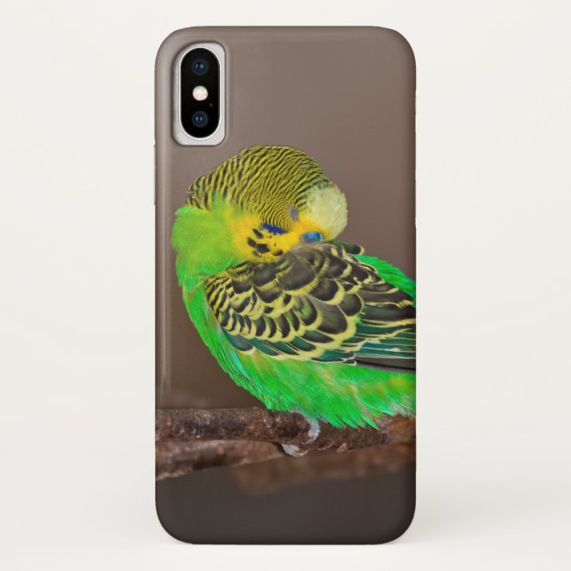 Snoozing Budgie iPhone X Case (Back)