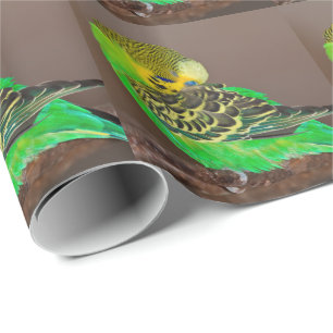 Snoozing Budgie Wrapping Paper