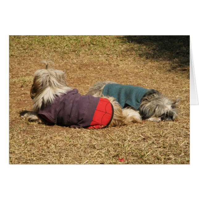 Snoozing in Nong Khai (Front Horizontal)