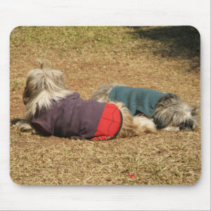 Snoozing in Nong Khai Mouse Mat