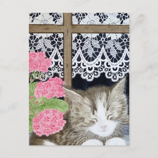 Snoozing in the sun postcard (Front)