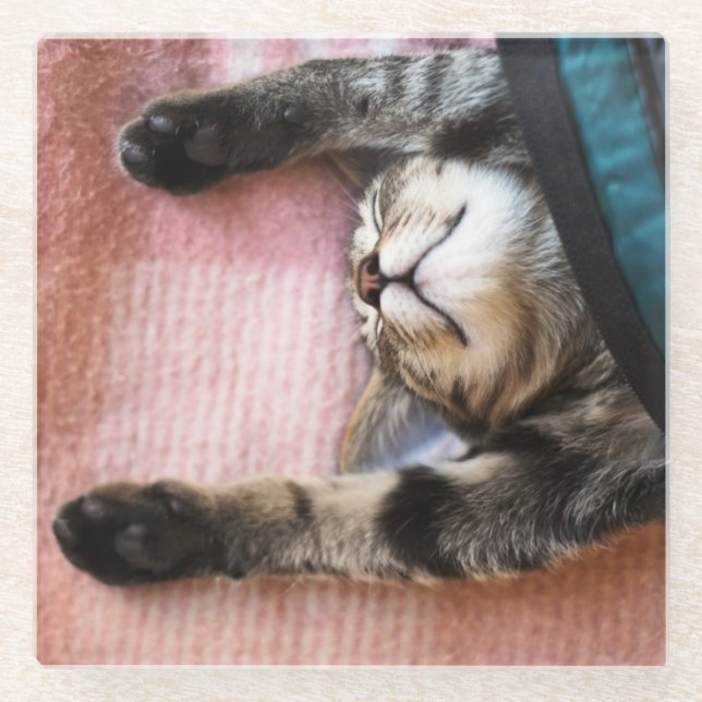 Snoozing Kitten Glass Coaster (Front)