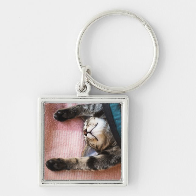 Snoozing Kitten Key Ring (Front)