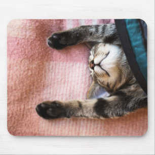 Snoozing Kitten Mouse Mat