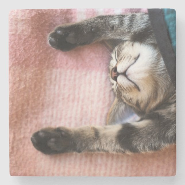Snoozing Kitten Stone Coaster (Front)