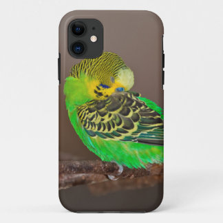 Snoozing Nudgie iPhone 5 Case