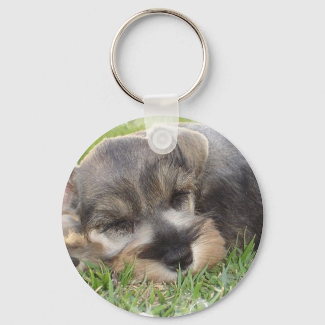 Snoozing Schnauzer Keychain (Front)