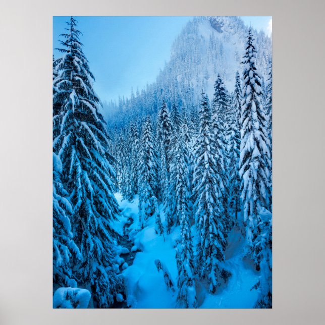 Snoqualmie Pass, Washington State. Poster (Front)