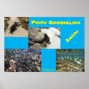 Snorkel Poipu Poster