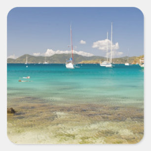 Snorkelers in idyllic Pirates Bight cove, Bight, Square Sticker