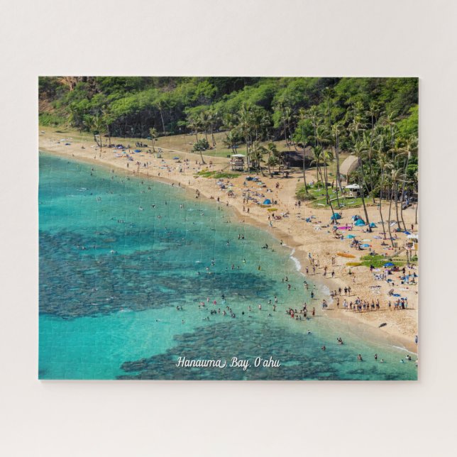Snorkelling at Hanauma Bay, O'ahu Jigsaw Puzzle (Horizontal)
