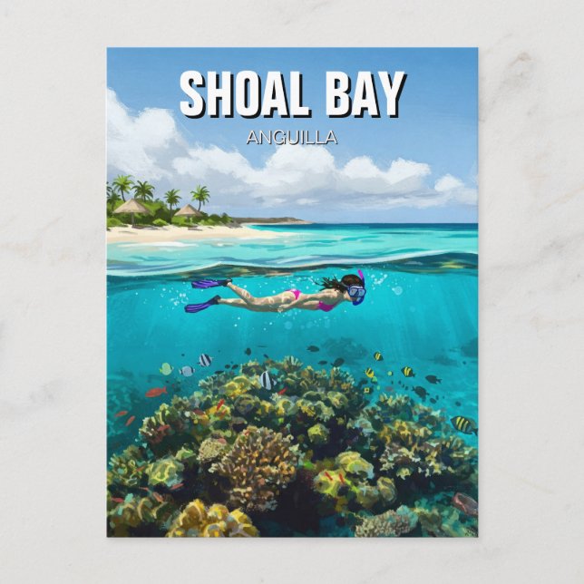 Snorkelling in Shoal Bay Anguilla Travel Postcard (Front)