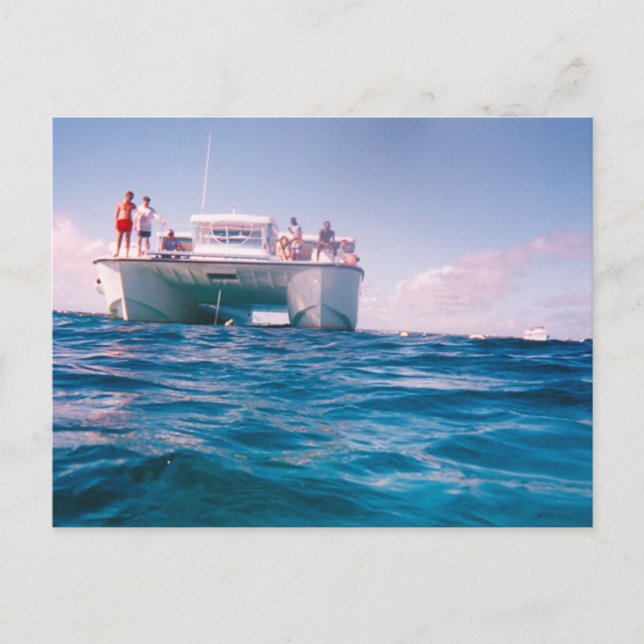 Snorkelling in the Bahamas Postcard (Front)