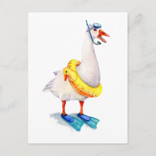 Snorkelling White Goose Postcard