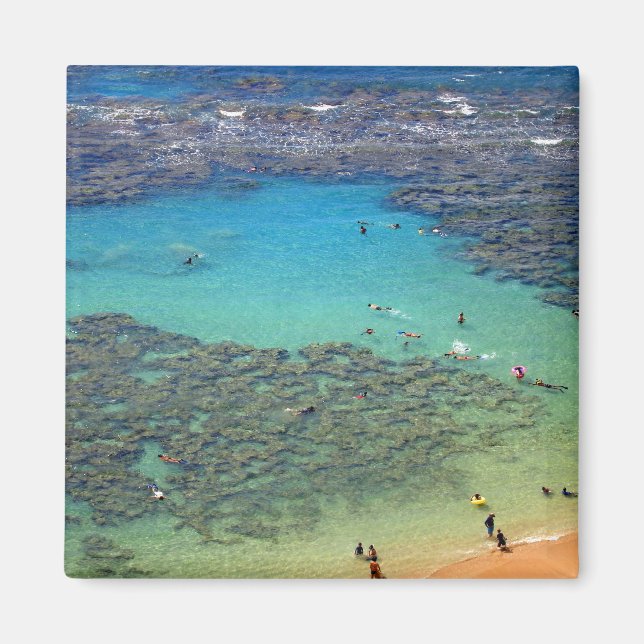 Snorklers at Hanauma Bay, Oahu, Hawaii Magnet (Front)