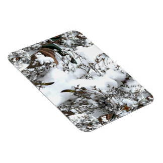 Snow Abstract Magnet