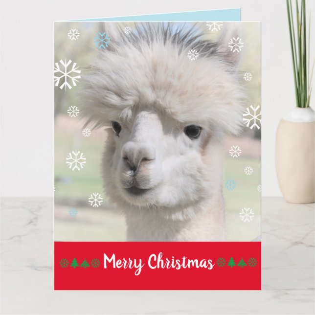 Snow Alpaca Merry Christmas Card (Front)