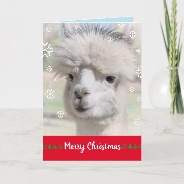 Snow Alpaca Merry Christmas Card (Front)
