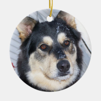 SNOW AND CHRISTMAS and devon shooting gun sled rid Ceramic Tree Decoration