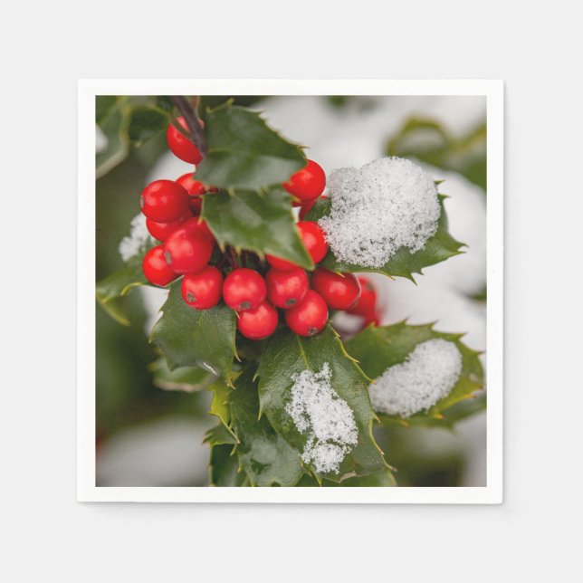 Snow And Holly   Napkin (Front)