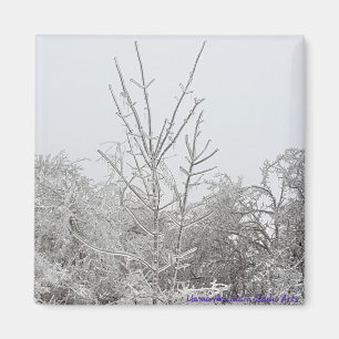 Snow and Ice Covered Trees #1 magnet