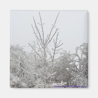 Snow and Ice Covered Trees #1 magnet