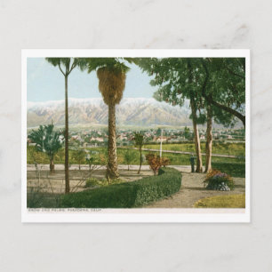 Snow and Palms, Pasadena CA Vintage Postcard