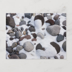 Snow And Rocks, Mt. Rainier National Park 2 Postcard