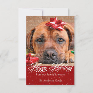 Snow and Sparkles Holiday Photo Cards
