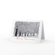 Snow and Trees Merry Christmas