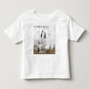 Snow around the Aral Sea Toddler T-Shirt
