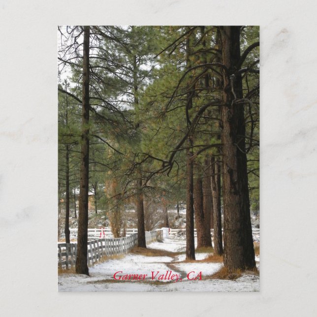 Snow At Christmas Postcard (Front)