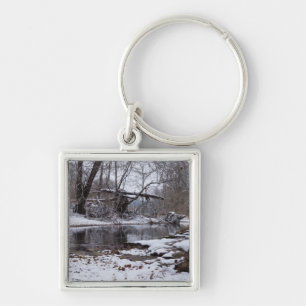 Snow At Finley Key Ring