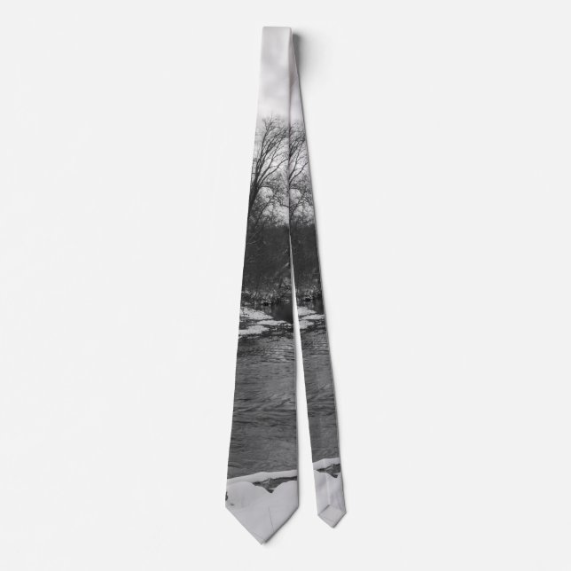 Snow Beauty James River Grayscale Neck Tie (Front)