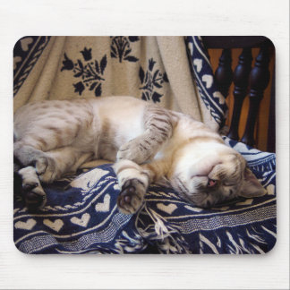 Snow Bengal on Rocker Mouse Mat