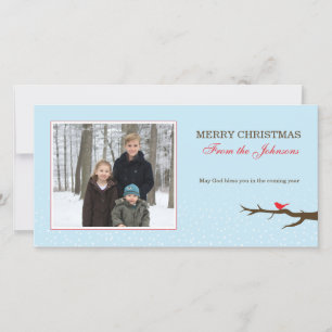 Snow Bird Christmas Photocard Holiday Card