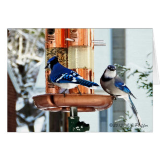 "Snow Birds 2"