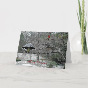 snow birds 5 holiday card