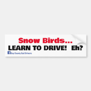 Snow Birds - Learn to Drive Bumper Sticker