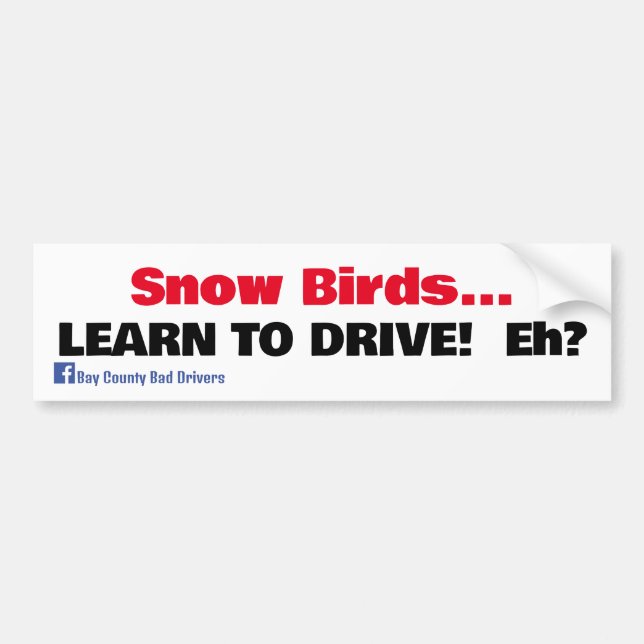 Snow Birds - Learn to Drive Bumper Sticker (Front)