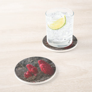 Snow Blossoms Coaster