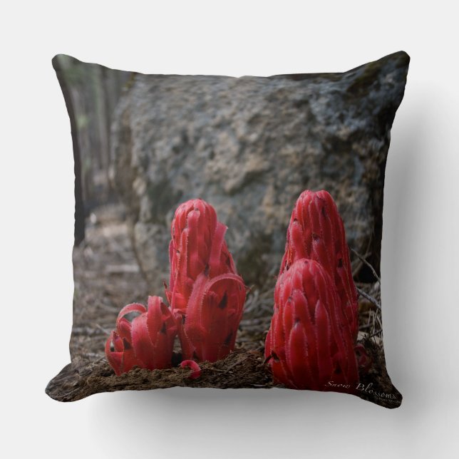 Snow Blossoms Cushion (Front)