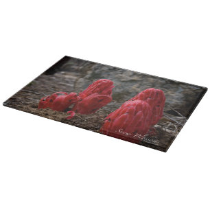 Snow Blossoms Cutting Board