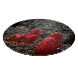 Snow Blossoms Cutting Board