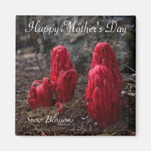 Snow Blossoms Happy Mother's Day Magnet