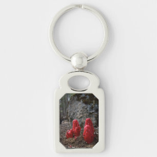 Snow Blossoms Key Ring