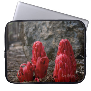 Snow Blossoms Laptop Sleeve